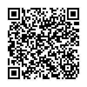 3499拉斯维加斯(官方认证)网站-Made in PRC